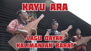 Download lagu KAYU ARA // Cover // FERY SAPE // AGUS KEN FRENGKY // THEO SIMAN mp3