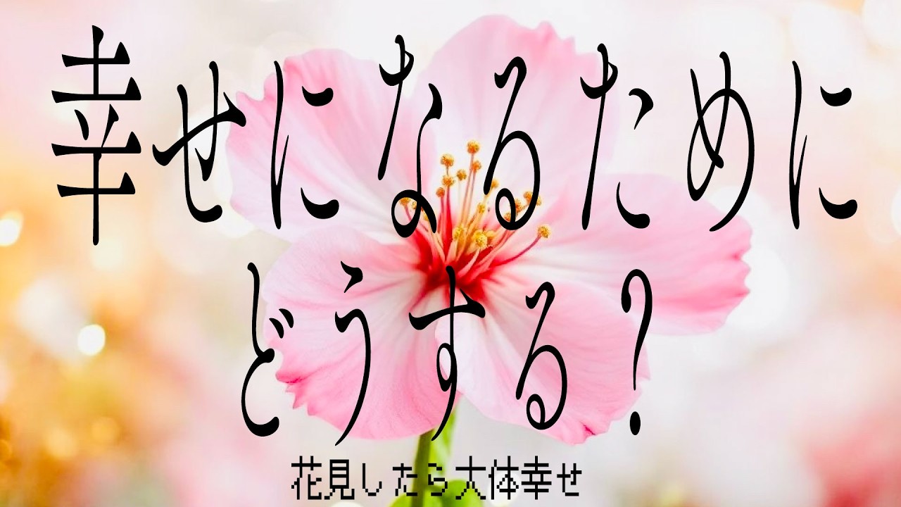 幸せに生きる上で今どうしたら良さそうか？🍦🍪🍰（2026年3月）