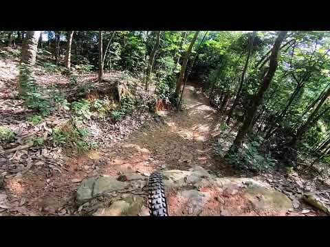 PCP Trail Black 15 DH Full Loop 20.01.2019