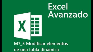 5 Modificar elementos de una tabla dinámica