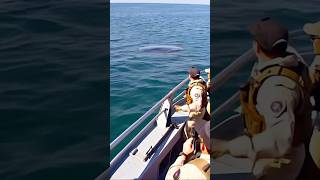 Leaked footage of a UFO seen rising from the ocean during a navy operation! Breaking news!