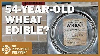 Food Storage: Is 54-Year-Old Wheat Still Edible?