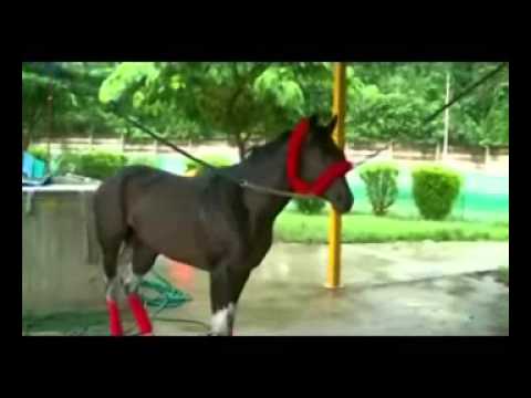 DATOS LA RINCONADA CON ANTONI CASTELLANOS  SABADO 19 ANERO 2013