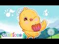 Five Senses Kids Sensory Song Toddler Learning Canticosworld