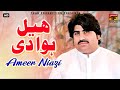 Ameer Nawaz Khan Heel Hawa De