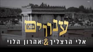 אלי הרצליך וילד הפלא אהרון הלוי - ענווים [מונה 5] | Eli Herzlich & Aharon Halevi - Anovim [Mona 5]