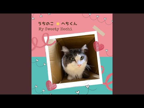 うちのこ☆へちくん