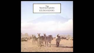 The Teardrop Explodes - Second Head