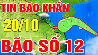 Dự báo thời tiết đêm nay và ngày mai 20/10 | Tin Bão Số 12 Mới Nhất | Dự báo thời tiết 3 ngày tới
