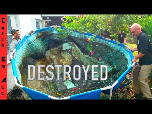 DESTROYED my FISH POOL POND!