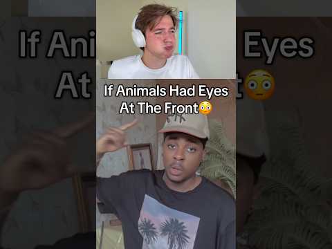 If Animals Had Eyes At The Front😳… @SpeedMcQueen