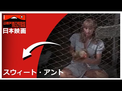 スウィート・アント | Le dolci zie | The Sweet Aunts | コメディ映画 | SD | 完全映画 日本語字幕