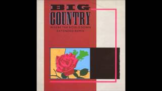 Big Country Where the Rose is Sown (Extended Remix)