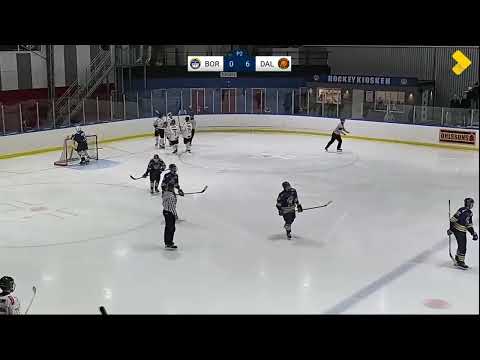 HC Dalen J20 Highlights vs Boro Vetlanda | Full Team Highlight | 2024-12-07