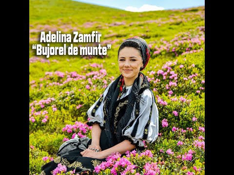 Adelina Zamfir -  Bujorel de munte