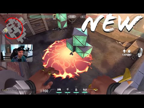 Phoenix Molly anywhere WITHOUT LINEUPS | AverageJonas