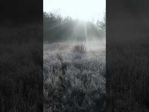 Countdown Trailer | Epic Orchestral Music | Epic Trailer Music