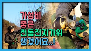 가성비 좋은 전지가위 입니다. 쿠팡, 네이버 판매 1위라고 하네요