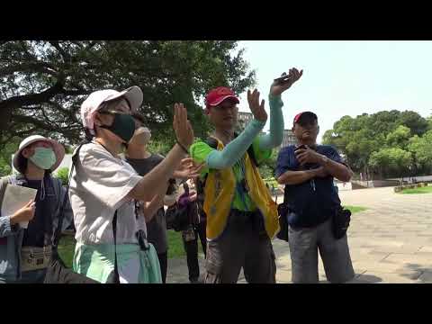 1130504 113春公共論壇週 尋寶故事—走訪冷水坑溪寺廟之旅家族親子一起來 影片成果