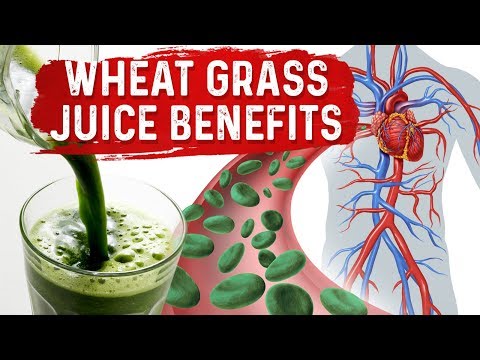 An APPLE a Day Will NOT Let Your Weight Go Away – Dr Berg