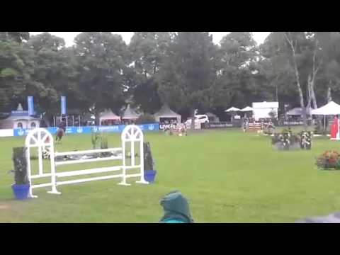 Pferd International 2014