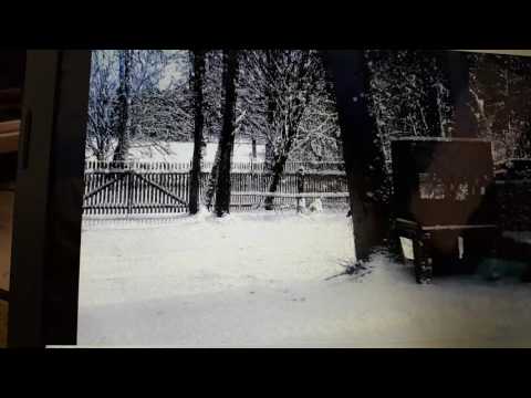 Hund entlaufen zwischen Weiden und Pressath