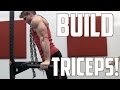 Tricep Workout BUILD MUSCLE Scott Herman