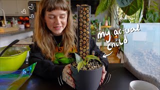 i waited 4 years for this plant... 🤩 potting up my dream philodendron in dark mode 🖤