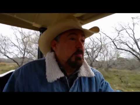 Hog Hunting Rifles- Which are the Best Rifles for Wild Boar Hunting