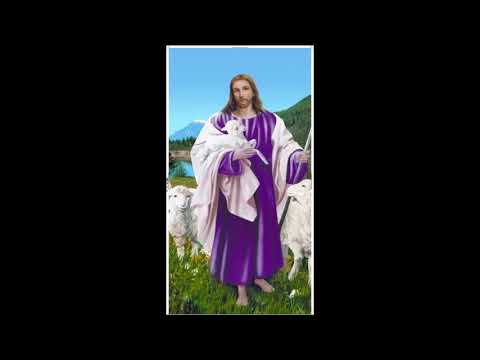 Tình Chúa thương con Sheet - Tam Ca Áo Trắng