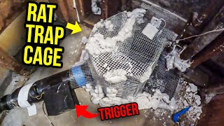 How to GET RID of Rats Under Your Floor FAST...rat prison..