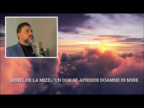 Irinel De la Mizil/ Un Dor Se-aprinde Doamne în Mine [2022]