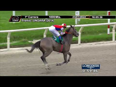 220123 c01 BLANCO PILLO