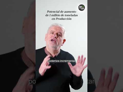 Momento histórico para la carne vacuna