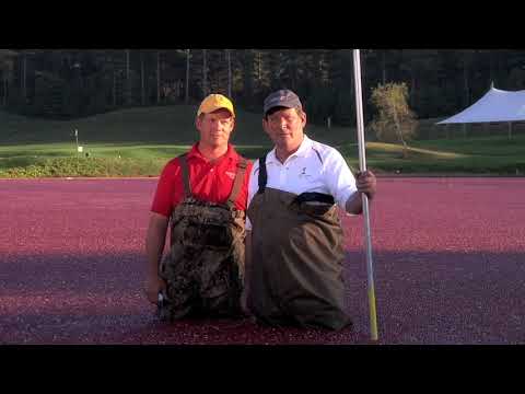 Southers Marsh Bloopers