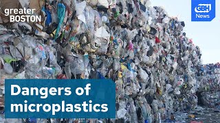 How the plastic we recycle ends up in our bodies