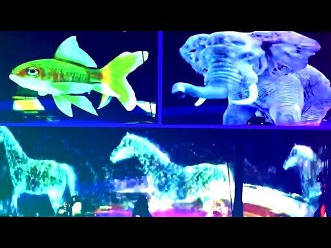 3D holograms replace animals in circus||hologram circus Germany||roncalli circus||hologram animals