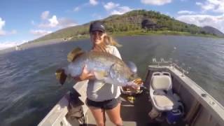 Barramundi Fishing Peter Faust Dam