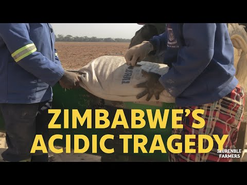 Zimbabwe’s acidic tragedy