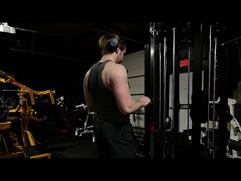 Fall Cut Day 57 - Arm Day