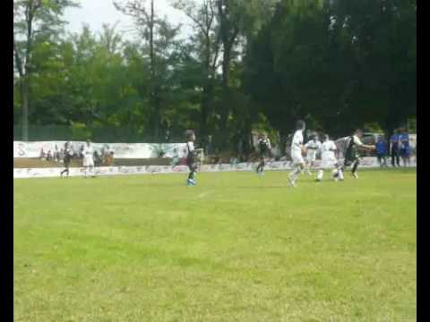 Nico nel cuore: Chievo - Atalanta: 1-3