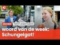Het Twentse woord van de week: Schungelgat!