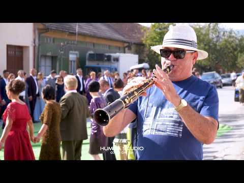 BEBE DRAGOMIR || BRAU || LIVE || NUNTA || IOAN & GEORGETA RUSCA TEREGOVA 2019