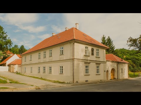 Náhled pro video reference