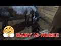 BABY HORSE BIRTH WE HAVE A EASTER BABY