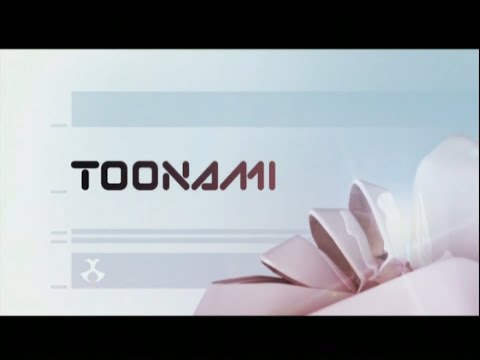 Toonami 2004-07 Bumps