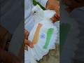 Kabutar Par Indian Flag Bana Diya Happy Independence Day Shorts