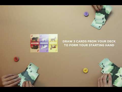 How to play JUST WILD