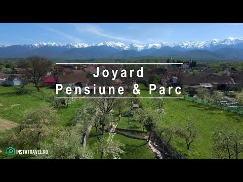 Pensiunea Joyard – o oază de relaxare la poalele munților Făgăraș
