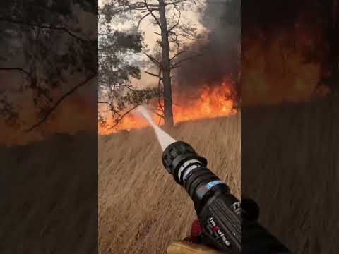 Firefighter fights his first major wildfire  #firefighter #wildfire #bushfires #shorts #gopro